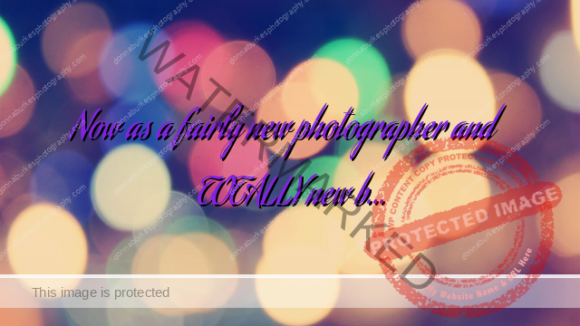 To Watermark or NOT To Watermark… THAT is the question…