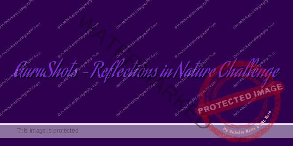 GuruShots – Reflections in Nature Challenge